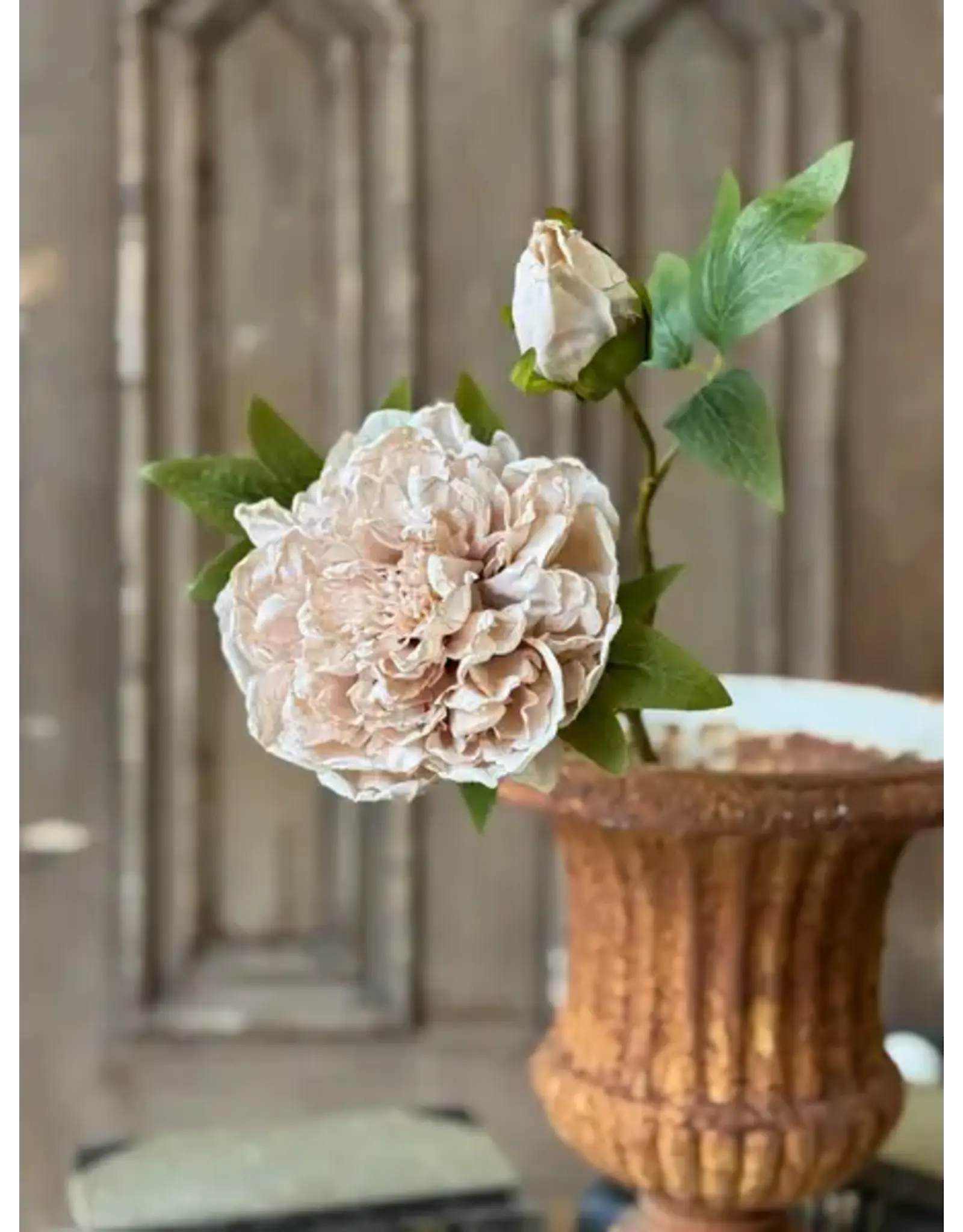 BR7516 20" Legacy Blooms | Lace