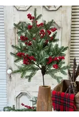 XAD1035 37" Scarletton Spruce Spray