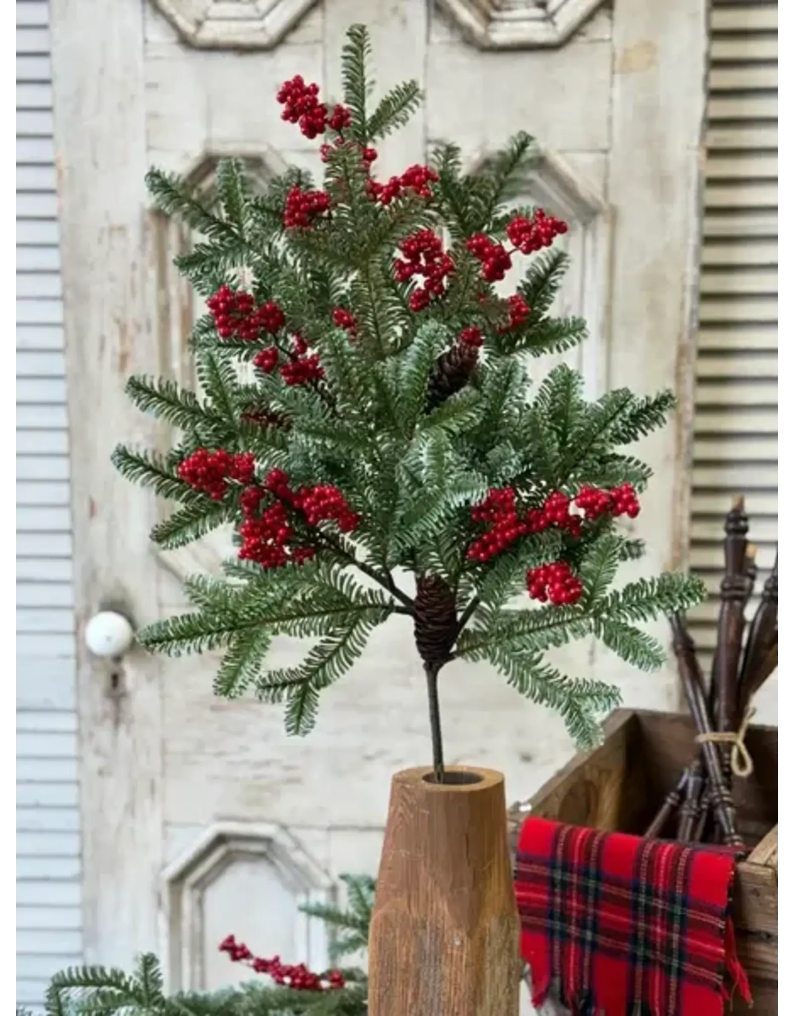 XAD1035 37" Scarletton Spruce Spray