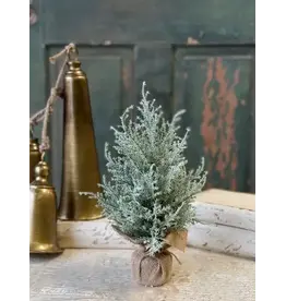 XDC1082 13" Snowport Tree
