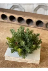 XP76827 8" White Spruce Half Sphere