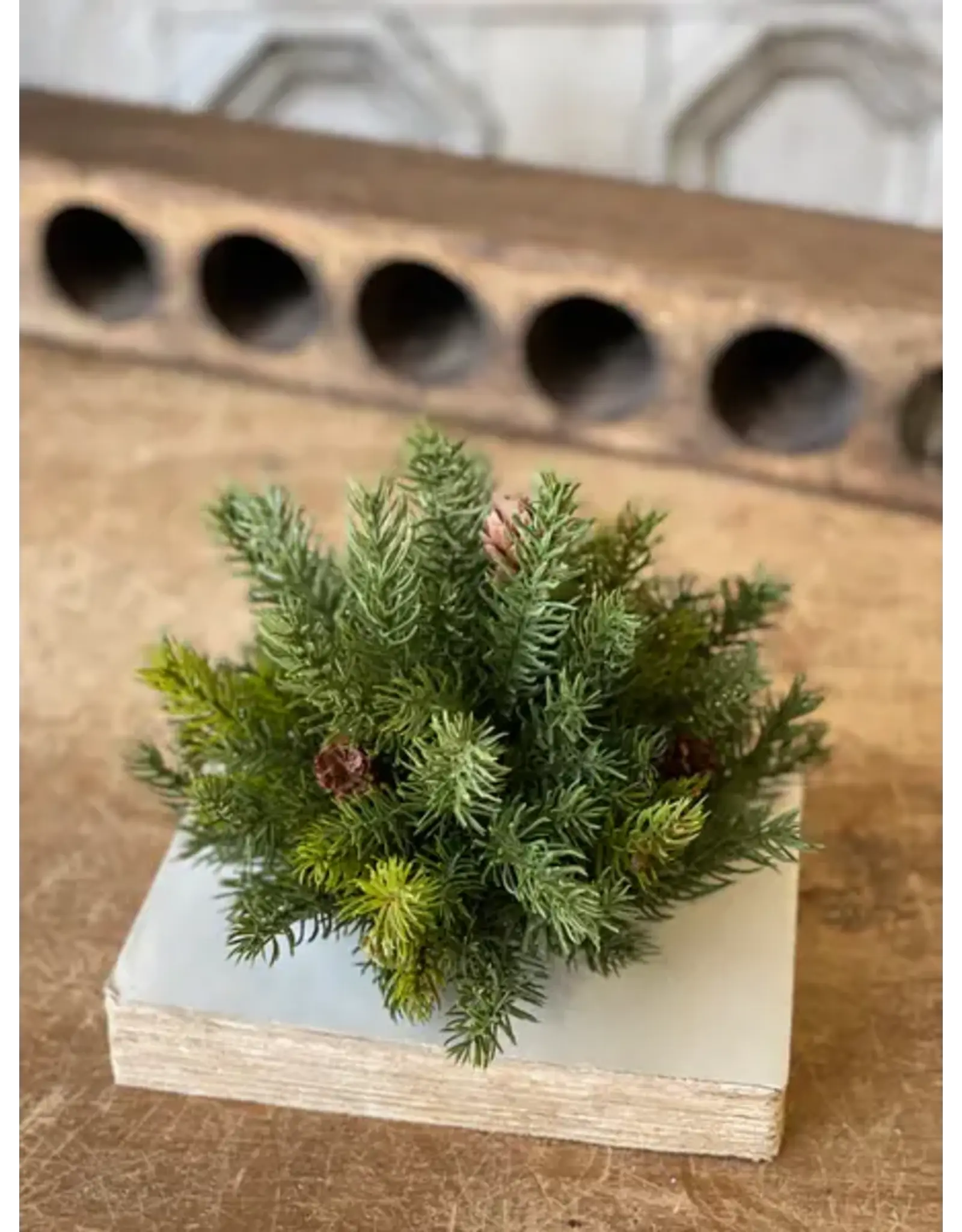 XP76827 8" White Spruce Half Sphere