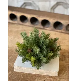 XP76827 8" White Spruce Half Sphere