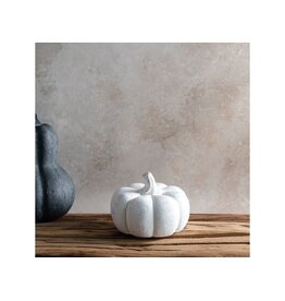4.75"W WH TERRACOTTA PUMPKIN