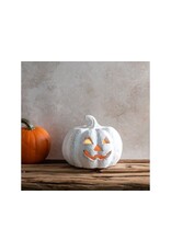 6.5"W WH TERRACOTTA MINI J-O-L PUMPKIN