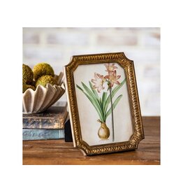 PDKIN043  5 X 7 ANT GOLD PHOTO FRAME