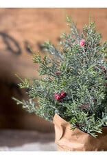 XND4378 12" Merry Market Pot | No.3