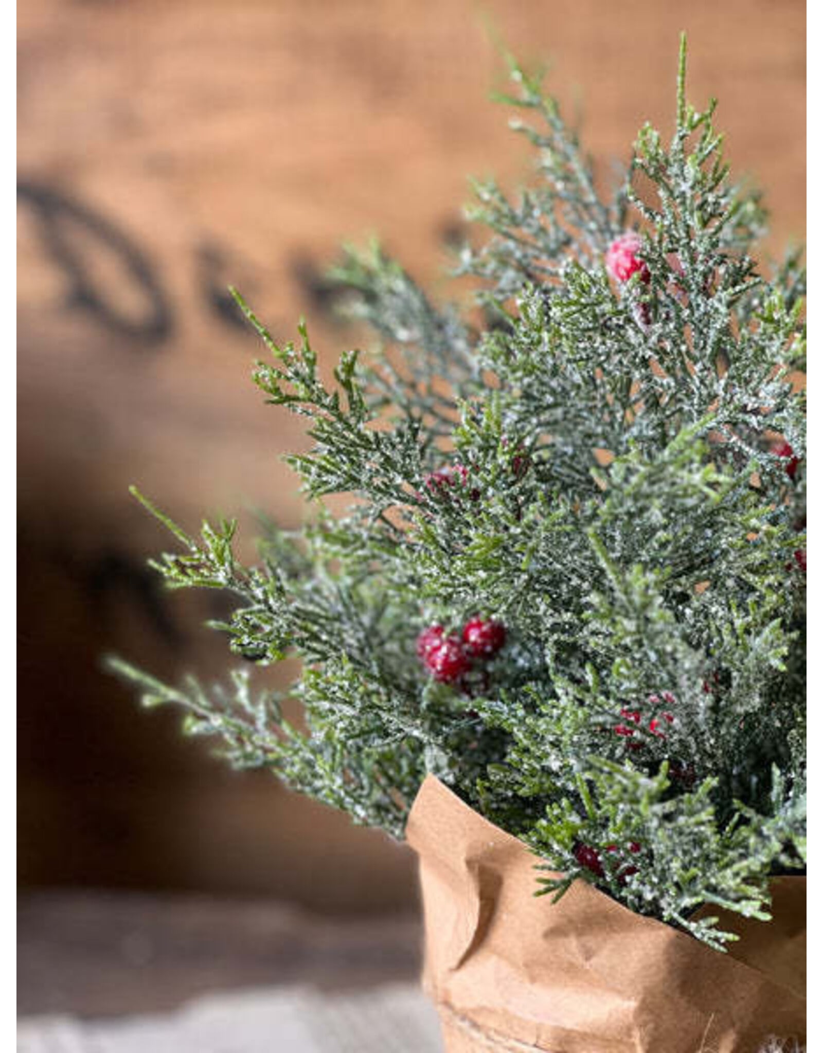 XND4378 12" Merry Market Pot | No.3