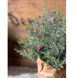 XND4378 12" Merry Market Pot | No.3