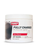 Hammer Nutrition Hammer Nutrition Fully Charged