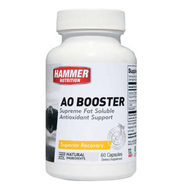 Hammer Nutrition Hammer Nutrition AO Booster (60 Cap)