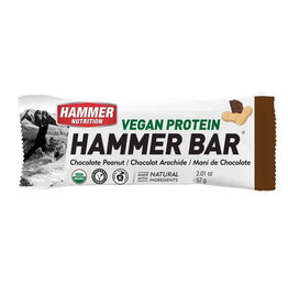 Hammer Nutrition Hammer Nutrition Vegan Protein Bar 12 Pack