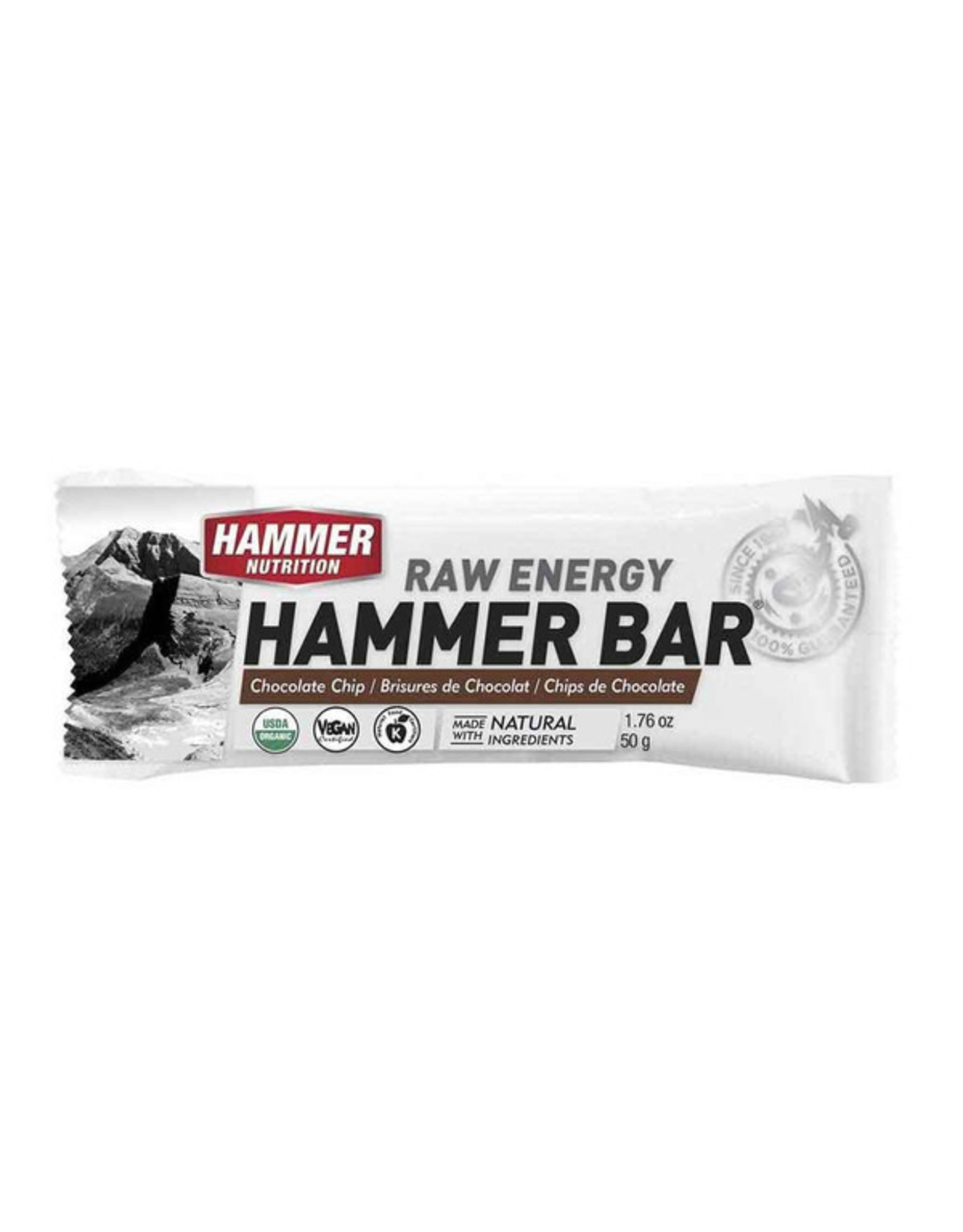 Hammer Nutrition Hammer Nutrition Raw Energy Bar 12 Pack