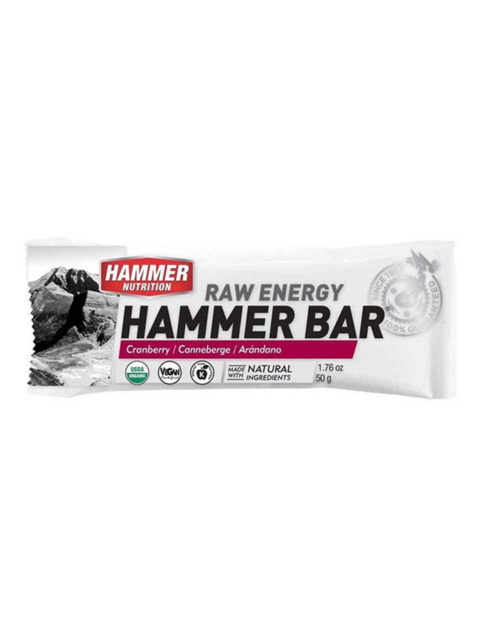 Hammer Nutrition Hammer Nutrition Raw Energy Bar 12 Pack