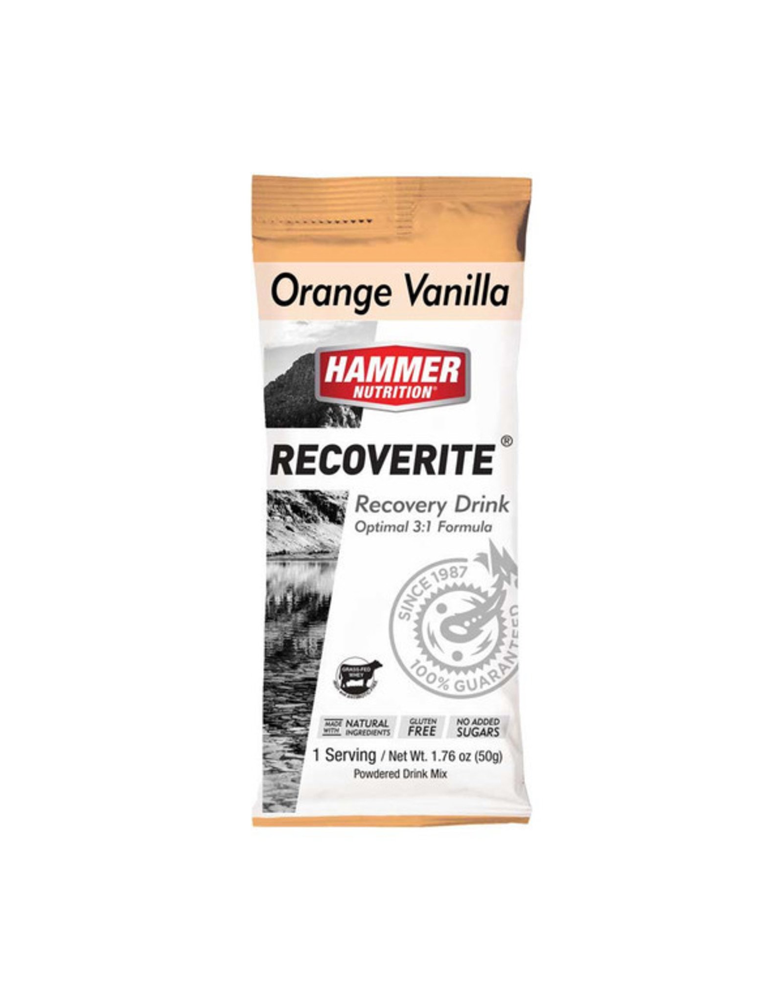 Hammer Nutrition Hammer Nutrition Recoverite