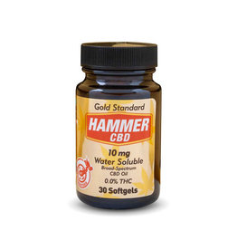 Hammer Nutrition Hammer Nutrition CBD Oil Softgels