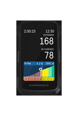 Hammerhead Hammerhead Karoo