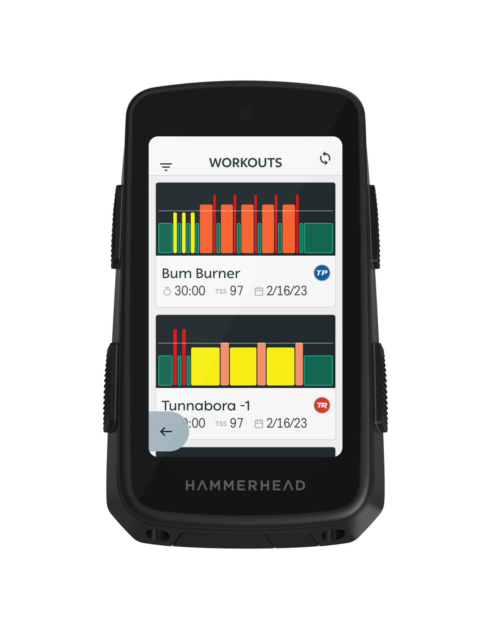 Hammerhead Hammerhead Karoo B1