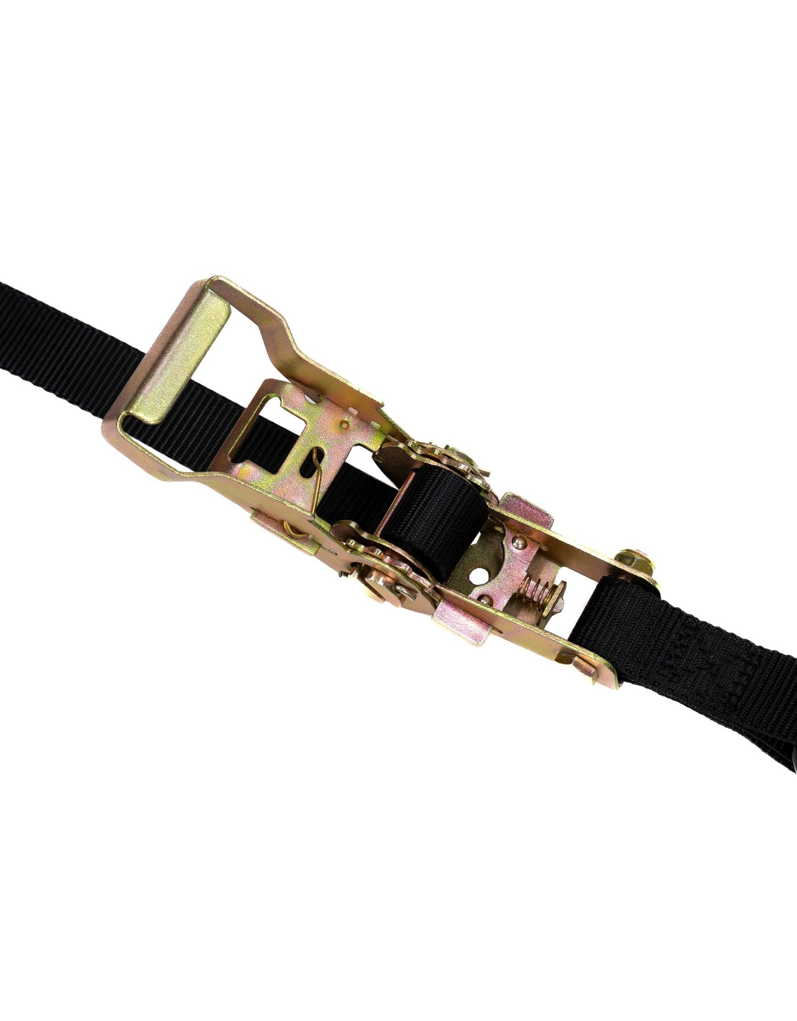 MotoTote MotoTote Universal Tie Down Bundle