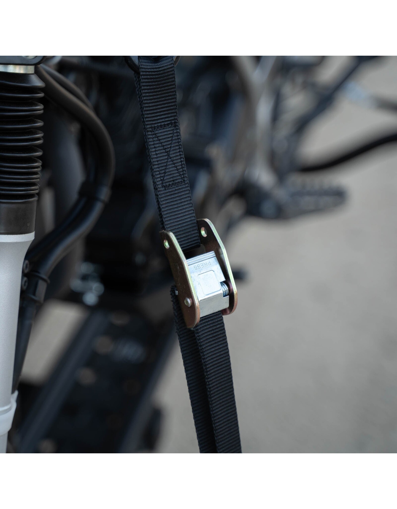 MotoTote MotoTote SafeLoop Cam Buckle Motorcycle Tie Downs