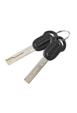 Kryptonite Locks Kryptonite KryptoLok 2 Chain
