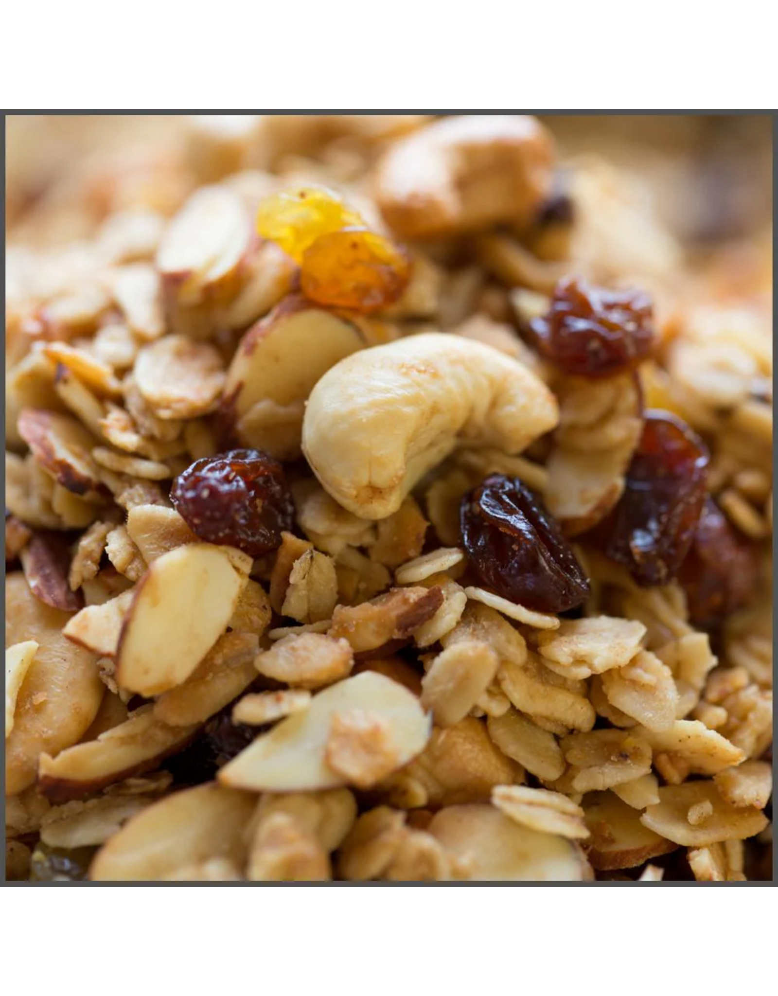 Skratch Labs The Feed Zone Cookbook