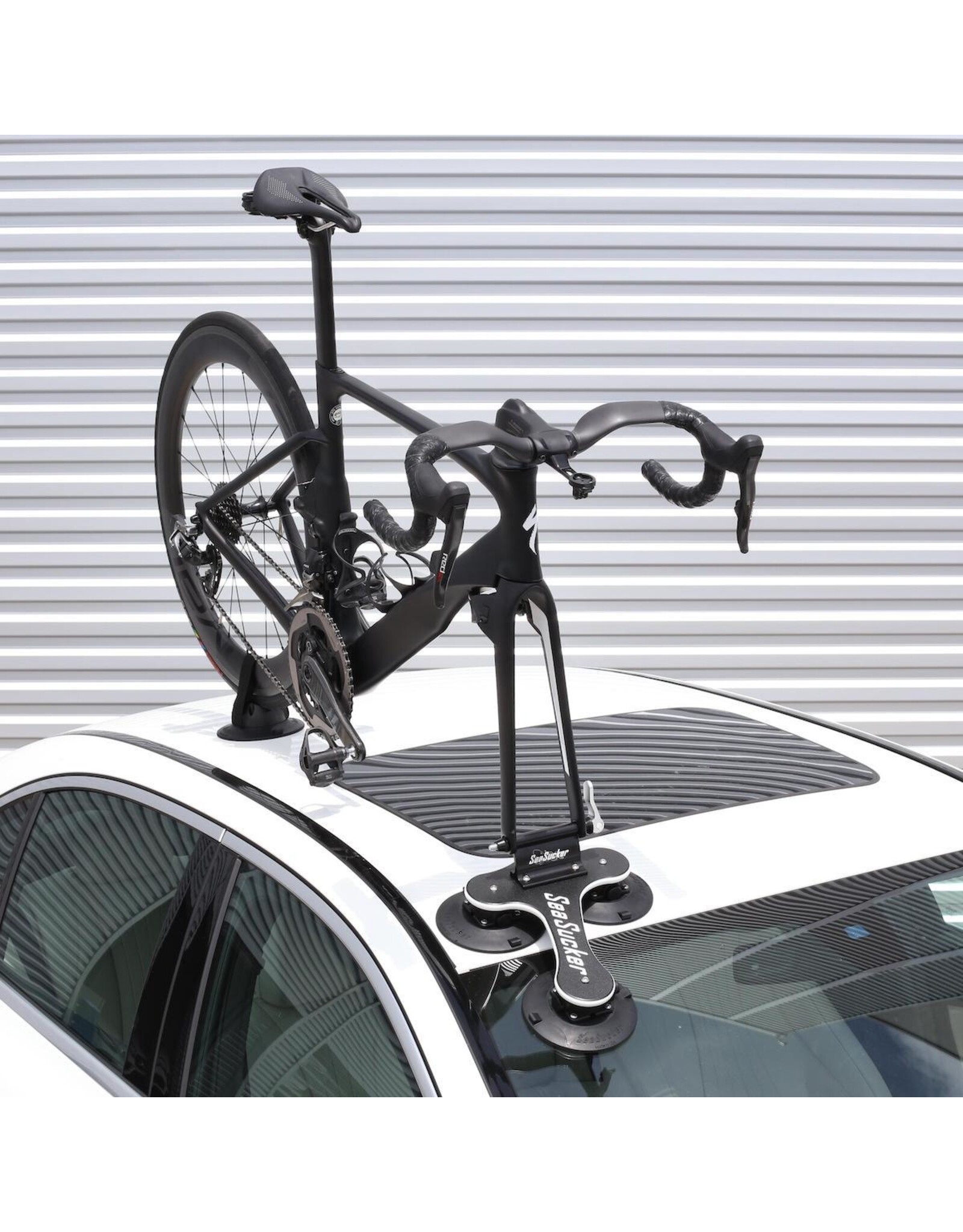 SeaSucker SeaSucker Talon Deal