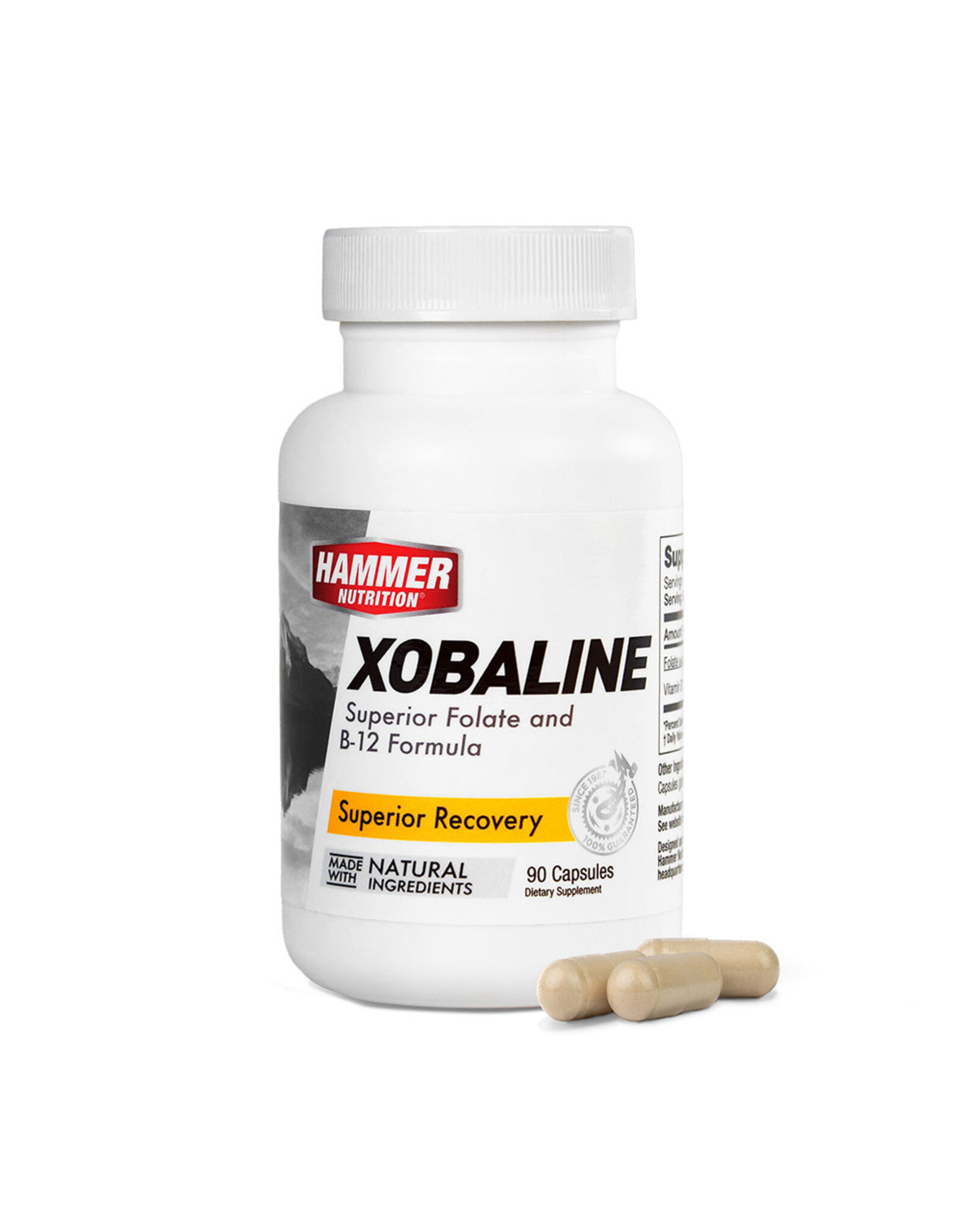Hammer Nutrition Hammer Nutrition Xobaline