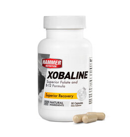 Hammer Nutrition Hammer Nutrition Xobaline