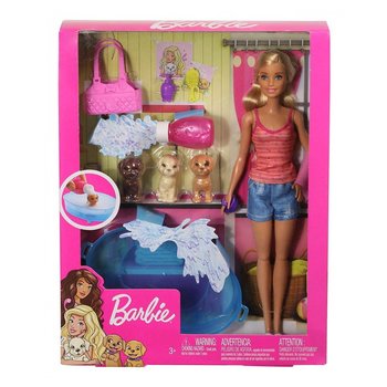 Barbie Barbie Doll & Accessories