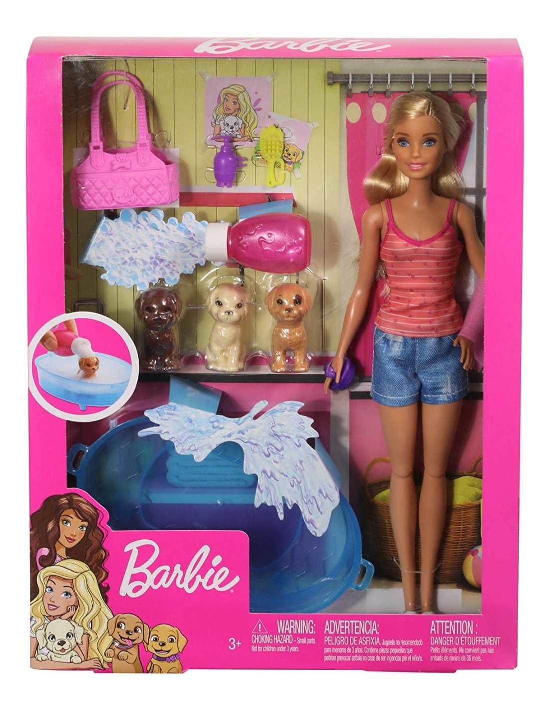 Barbie Barbie Doll & Accessories