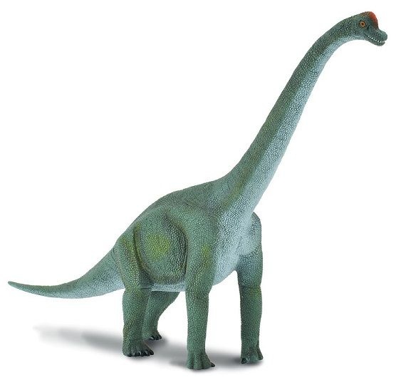 CollectA Brachiosaurus