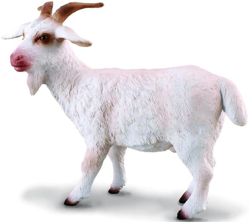 CollectA Billy Goat