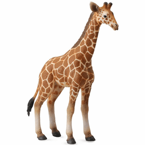 CollectA Reticulated Giraffe Calf