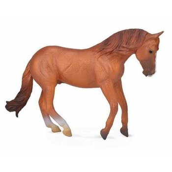 CollectA x Chestnut Australian Stock Horse Stallion