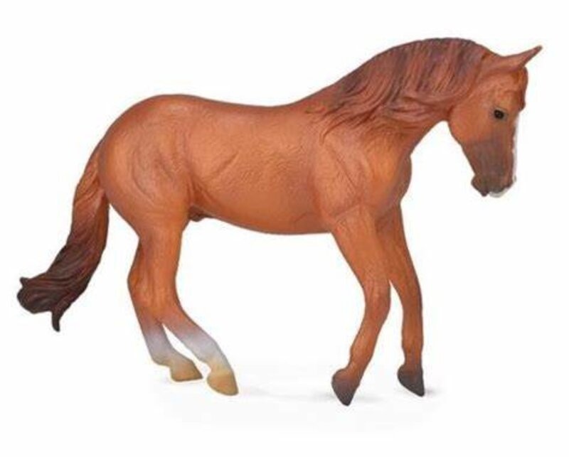 CollectA x Chestnut Australian Stock Horse Stallion