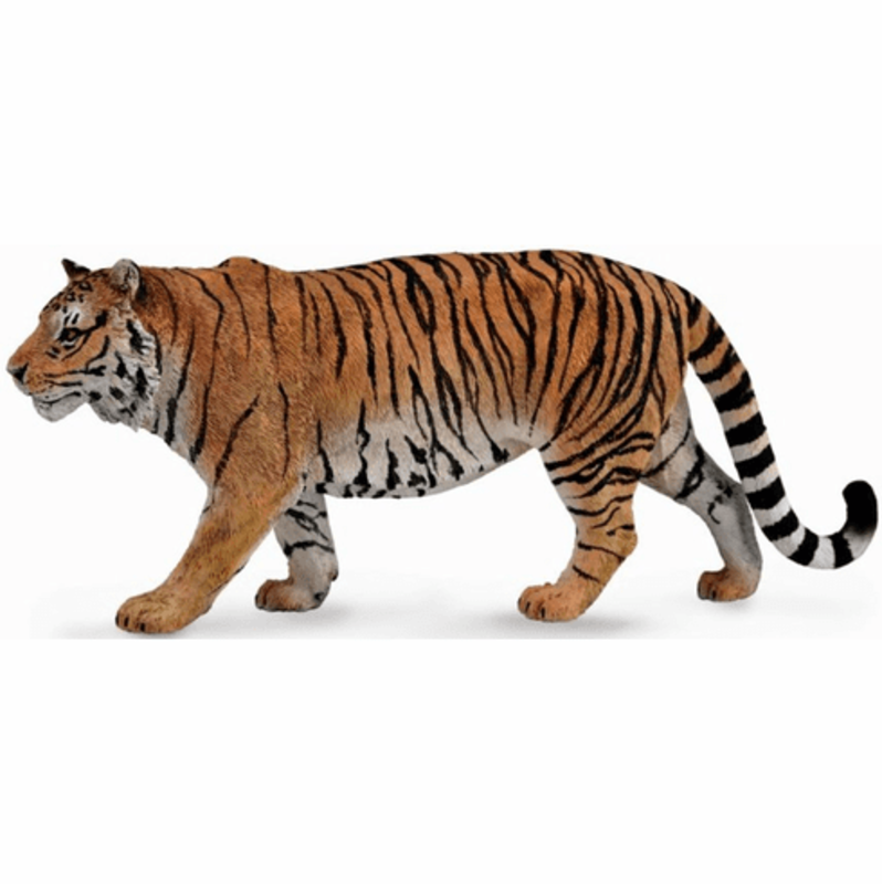 CollectA Siberian Tiger