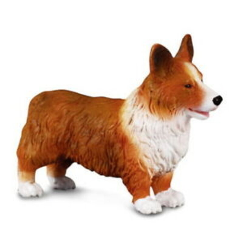 CollectA Welsh Corgi