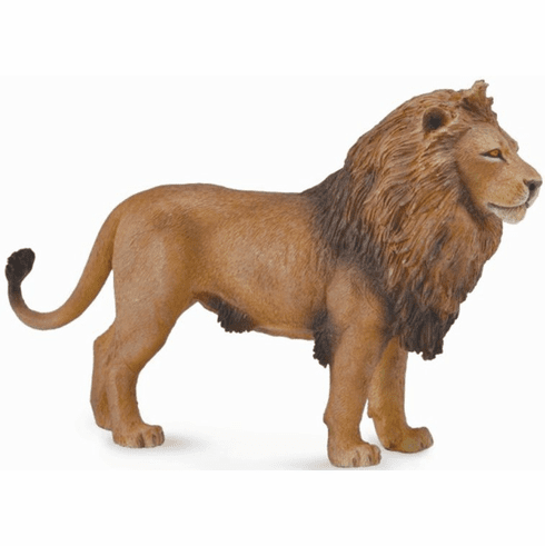 CollectA African Lion