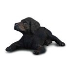 CollectA Labrador Retriever Puppy