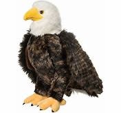 Douglas Adler Eagle