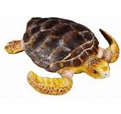 CollectA Loggerhead Turtle