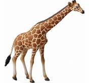 CollectA Reticulated Giraffe