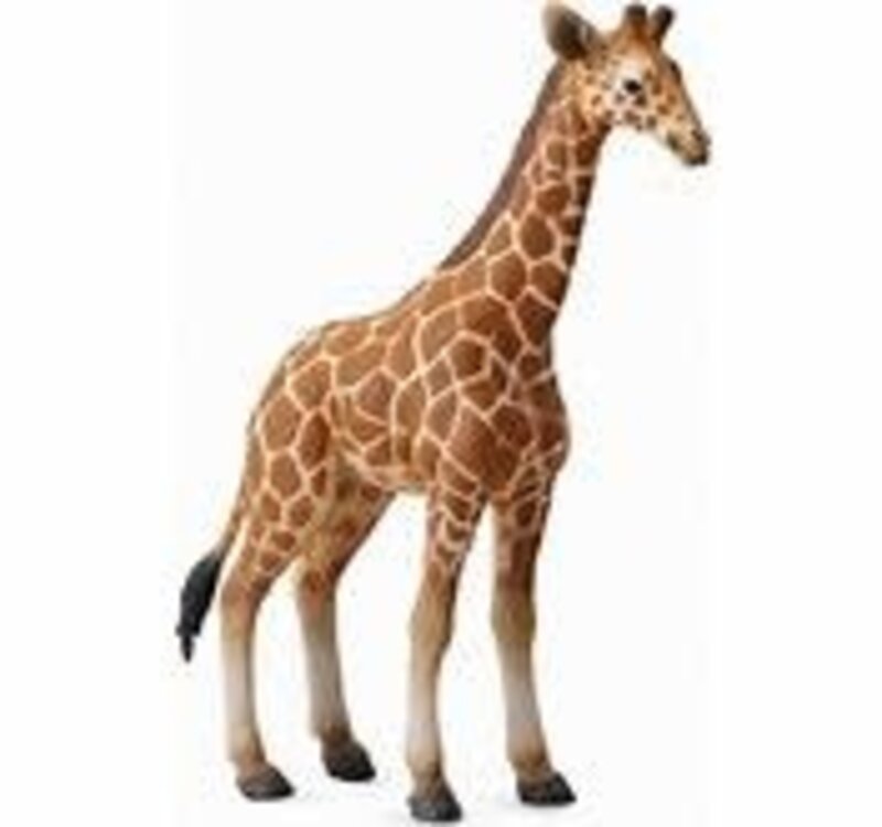 CollectA Reticulated Giraffe Calf
