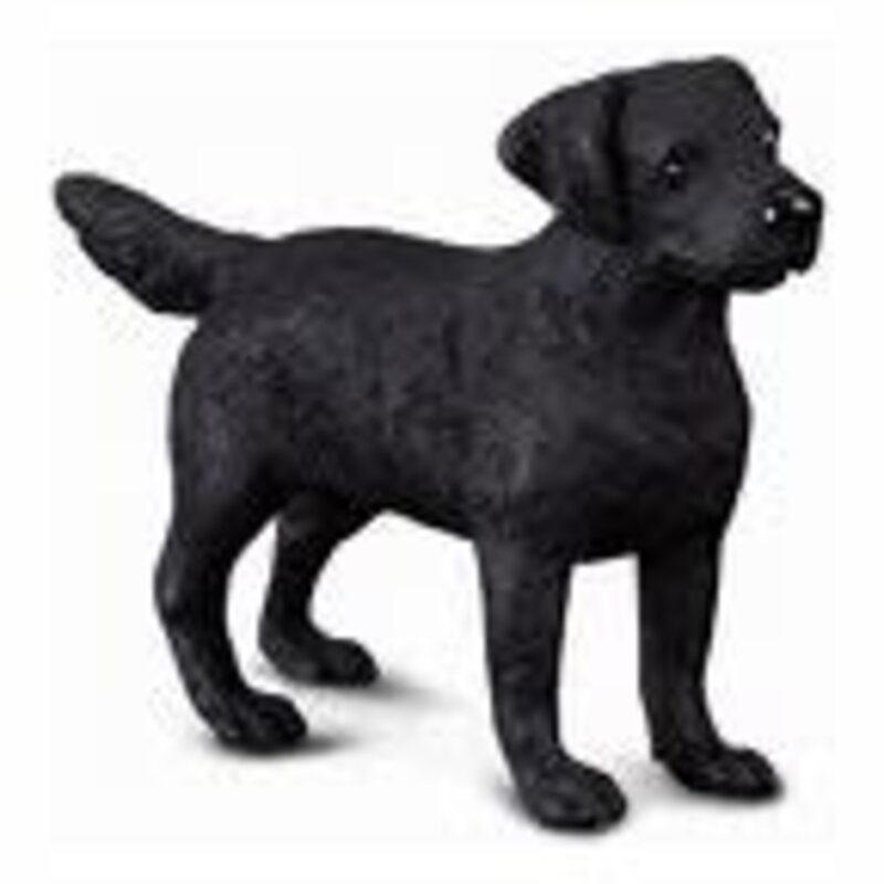 CollectA Labrador Retriever