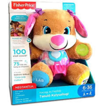 Fisher Price Smart Stages SIS