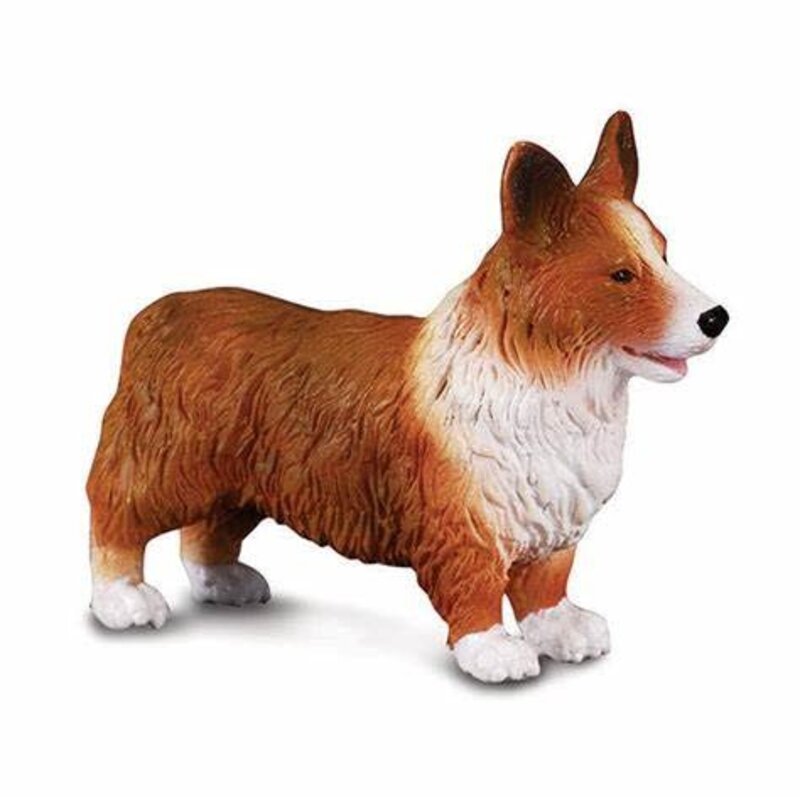 CollectA Welsh Corgi