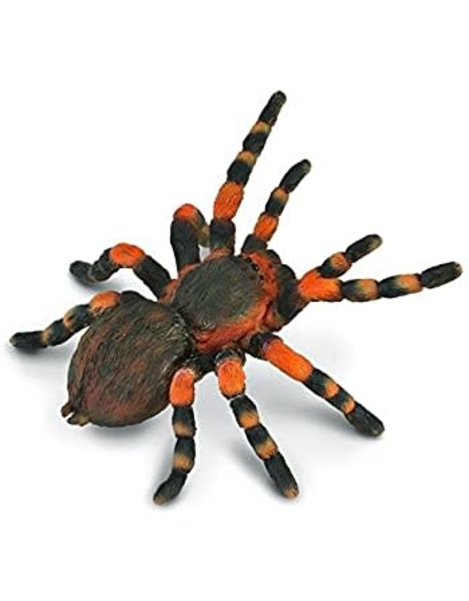 CollectA Insect: Mexican Redknee Tarantula