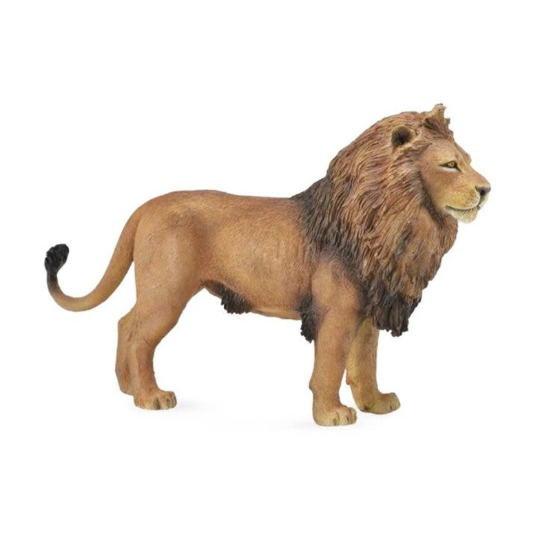 CollectA African Lion