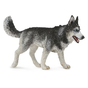 CollectA Siberian Husky